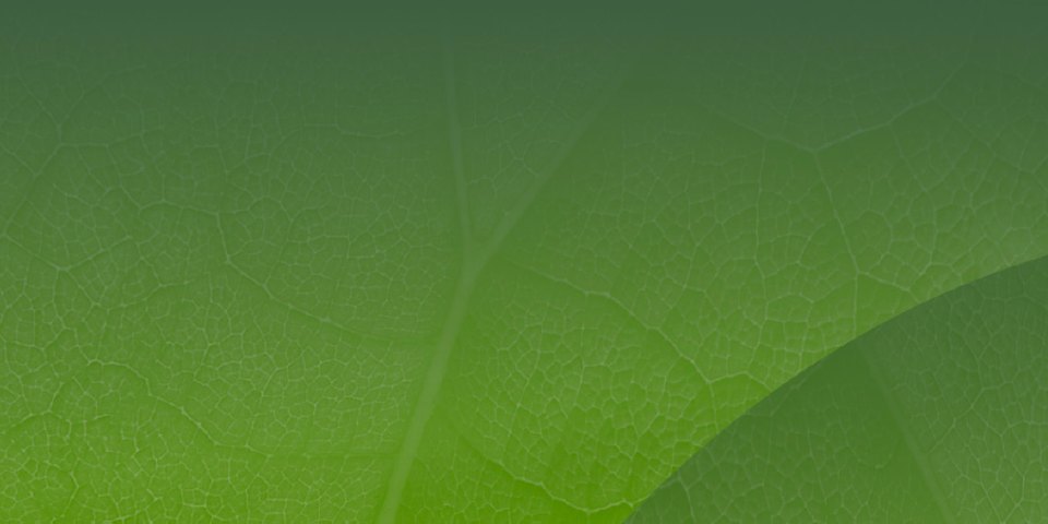 Οι Ευρωπαίοι καταναλωτές και η βιομηχανία θα επωφεληθούν από τον καθαρό, ασφαλή και σταθερό ενεργειακό εφοδιασμό χάρη σε καίριες μεταρρυθμίσεις της αγοράς