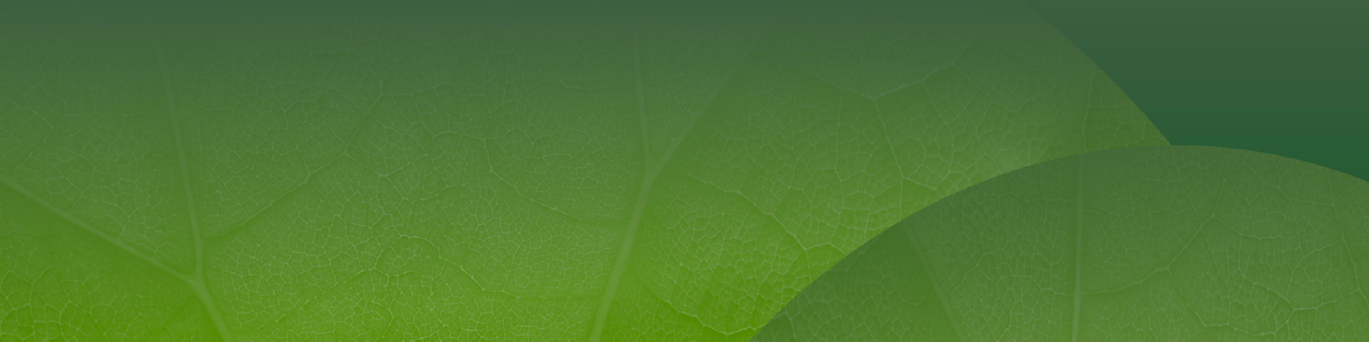 Οι Ευρωπαίοι καταναλωτές και η βιομηχανία θα επωφεληθούν από τον καθαρό, ασφαλή και σταθερό ενεργειακό εφοδιασμό χάρη σε καίριες μεταρρυθμίσεις της αγοράς