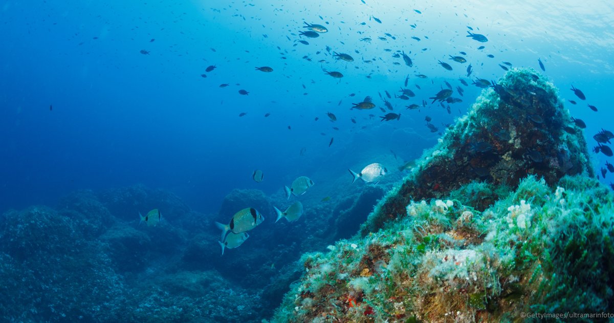 Κοινή δήλωση του ΥΕ/ΑΠ Μπορέλ και του Επιτρόπου Σινκέβιτσιους για την Παγκόσμια Ημέρα Ωκεανών