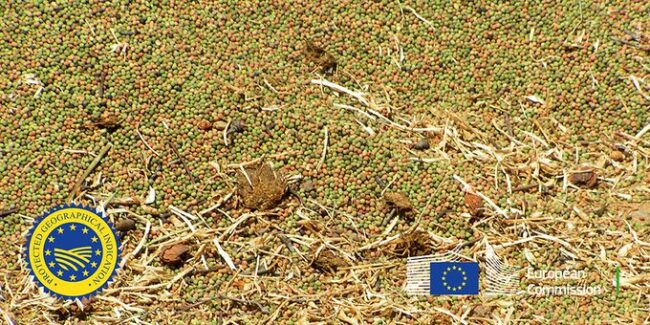 Η Επιτροπή εγκρίνει τη νέα γεωγραφική ένδειξη «Το Φάβα της Αμοργού»