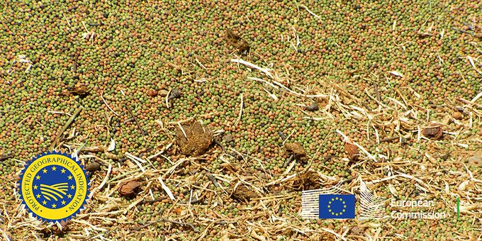 Η Επιτροπή εγκρίνει τη νέα γεωγραφική ένδειξη «Το Φάβα της Αμοργού»