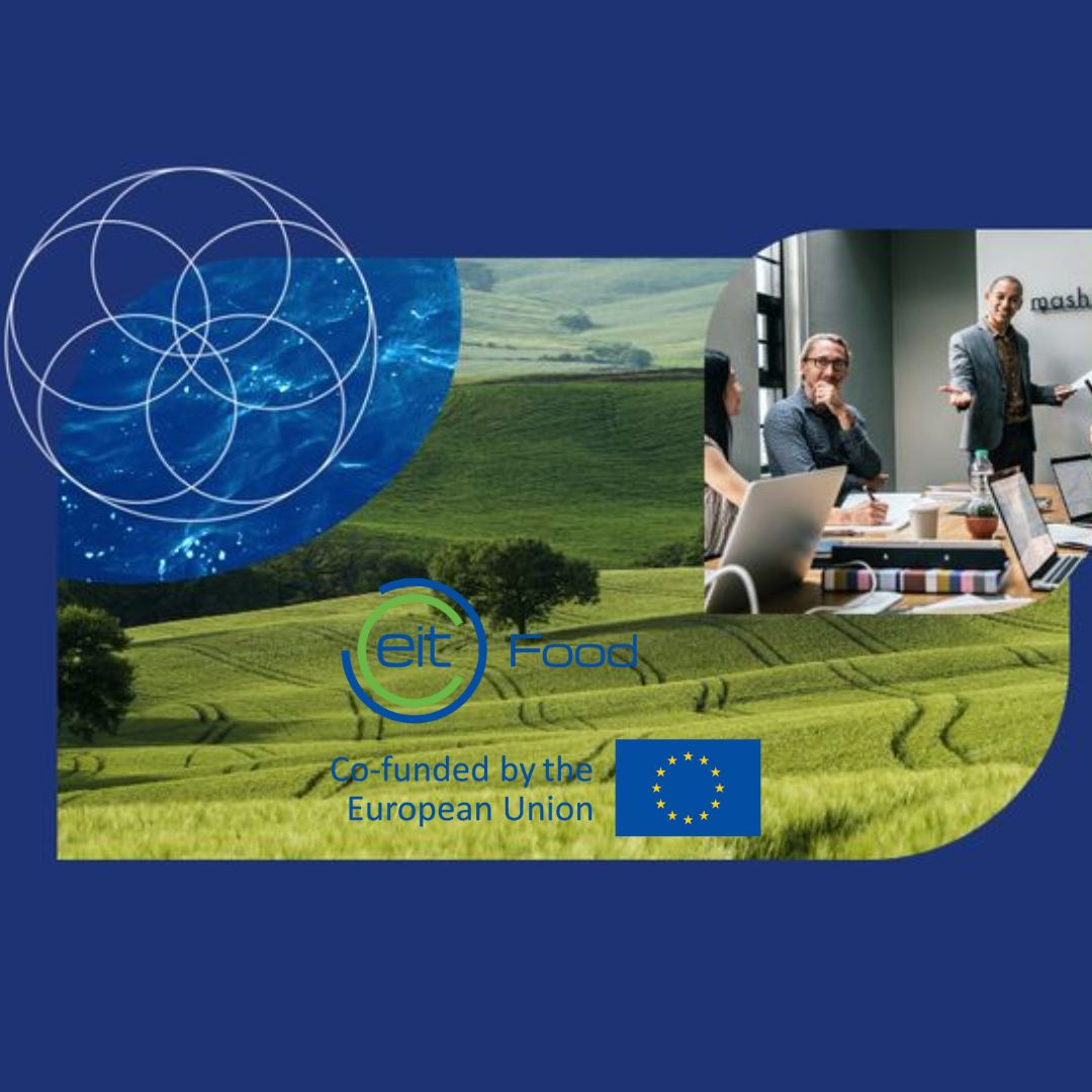 456814688_1033611042099702_367964847701927606_n