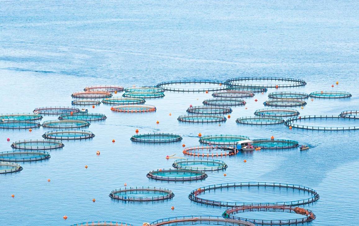 Η ΕΕ και οι γειτονικές της χώρες συμφωνούν την πρώτη απαγορευμένη περιοχή αλιείας μεταξύ ΕE & Αλβανίας και άλλα μέτρα για την προστασία της αλιείας