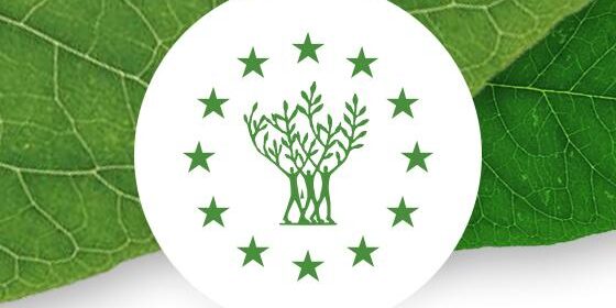 Η Ευρωπαϊκή Επιτροπή προκηρύσσει διαγωνισμό για τα βραβεία «Πράσινη Πρωτεύουσα της Ευρώπης» και «Ευρωπαϊκό Πράσινο Φύλλο» του 2027