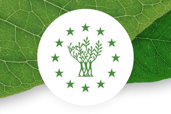 Η Ευρωπαϊκή Επιτροπή προκηρύσσει διαγωνισμό για τα βραβεία «Πράσινη Πρωτεύουσα της Ευρώπης» και «Ευρωπαϊκό Πράσινο Φύλλο» του 2027
