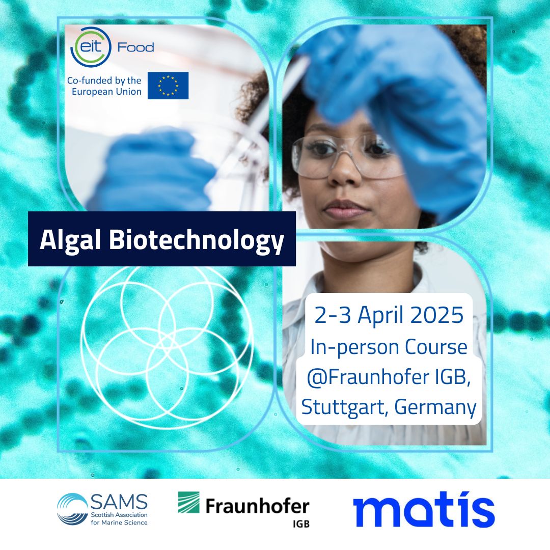 483543766_1048050677350931_622219982188354478_n