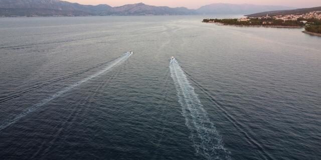 Η Ευρωπαϊκή Επιτροπή λαμβάνει περαιτέρω μέτρα για την προστασία της βιοποικιλότητας στην ανοικτή θάλασσα