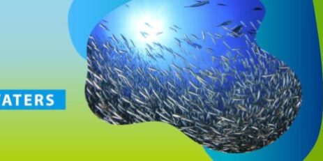 Η Ευρωπαϊκή Ένωση δεσμεύεται να καταβάλει πάνω από 300 εκατ. ευρώ για προσπάθειες διατήρησης των ωκεανών στη διάσκεψη «Our Ocean» στο Μπουσάν