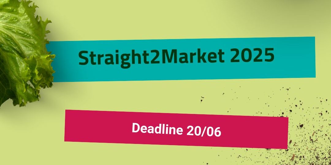 505744650_1279583307502473_2592542176492248065_n