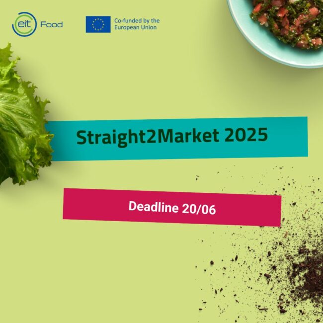 505744650_1279583307502473_2592542176492248065_n