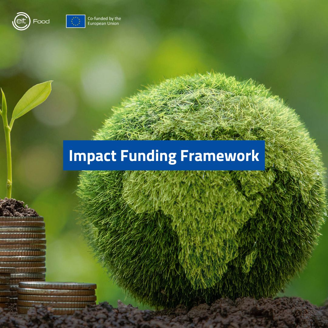 494145711_1238017028325768_3602595597534038233_n