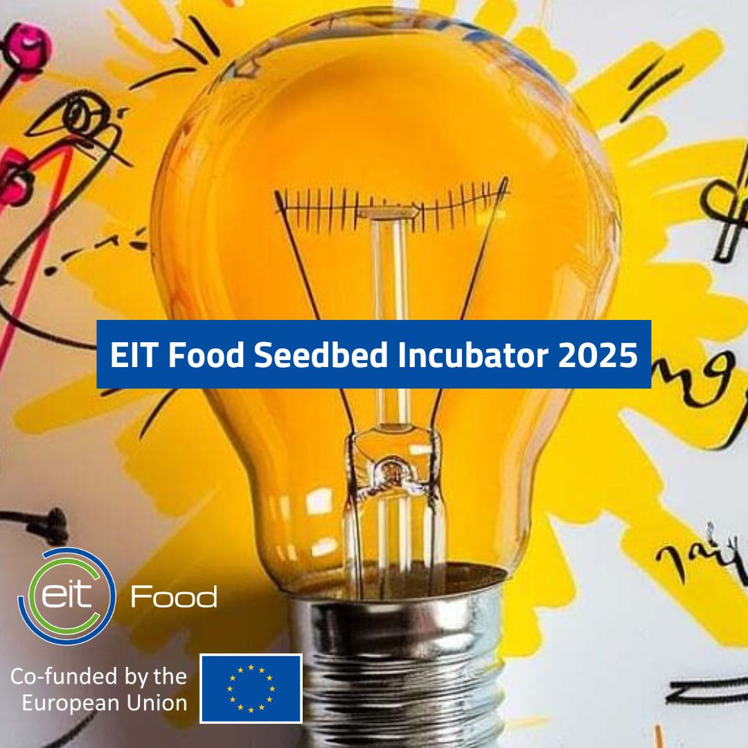 494721898_1275197217941082_8975267384186773103_n