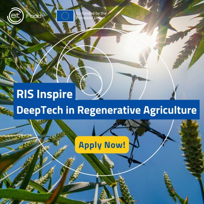 500342886_1125536566285767_8958872271991480051_n