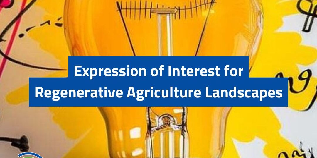 514336552_1301788391948631_7147016663339291980_n