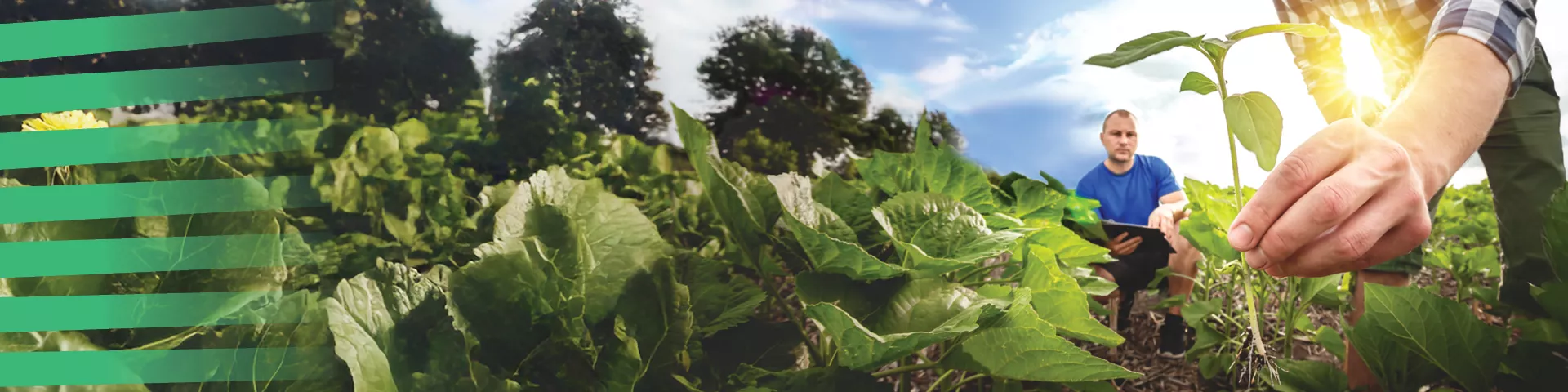 Η Ευρωπαϊκή Επιτροπή προτείνει μέτρα για την ανανέωση των γενεών στη γεωργία, με σκοπό την προστασία των τροφίμων, της γεωργίας και του αγροτικού μέλλοντος της Ευρώπης