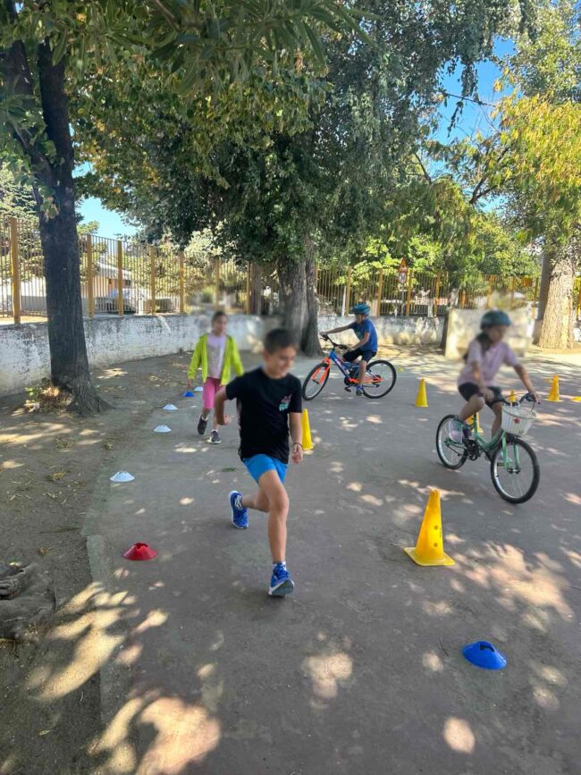 557170984_1209189734570357_3264171926396017704_n